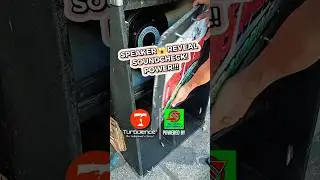 Turbulence D21 AVALANCHE (Power Speaker) #youtubeshorts #shorts #youtube