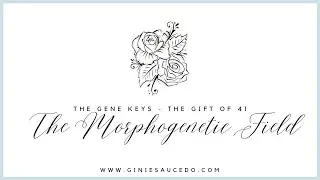 The Gene Keys - The 41st & My Experience with the Morphogenetic Field