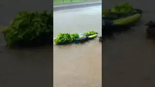 Heavy Rain 🌧️🌧️#mansoon #Dhanbad city❤️❤️