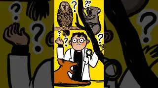 &iquest;Por qu&eacute; bostezamos? | #TELOEXPLICO