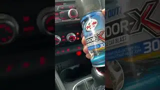 Turtle Wax Odor-X