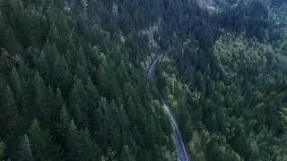 Pexels Videos 1437396