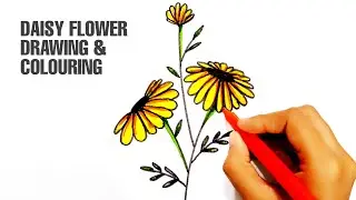 YELLOW DAISY FLOWER DRAWING AND COLOURING FOR KIDS || KIDS ART FUN TV