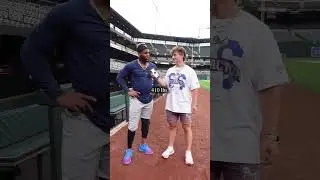 The Tampa Bay Rays have some STRONG dudes 🤯🦾 #shorts