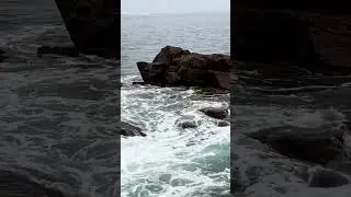 Atlantic Ocean TinyWaterfall #nature #ocean #waterfall #maine #water #travel