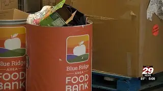 Blue Ridge Area Food Bank&rsquo;s school food drive breaks records with help of two local students