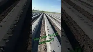 Производство грядообразователей под ваши задачи! #бугры #грядообразователь #клубника