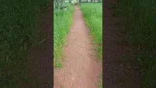 Czerwona ziemia w Polsce xD (jak w Brazylii) #polska #shorts #brazil #redearth #funny #lol