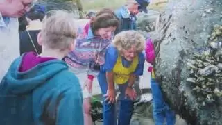 Sitka's Story: A Book by Sharon Overton