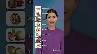 Nuts Vocabulary in English