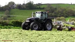 Raking for Silage with 