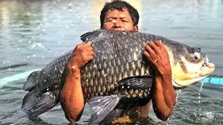 monster Catla fish hunting  by hook