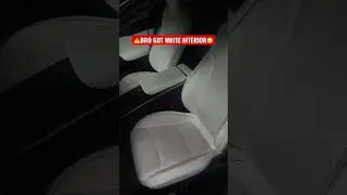 ⚠️Не выбирайте БЕЛЫЙ САЛОНА В ВАШЕЙ TESLA 😳🥵🤬