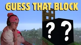 Minecraft Guess That Block AGAIN