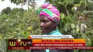 NTETO CIA WERU CIA THAA MUGWANJA