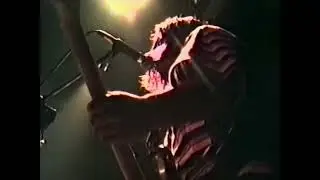 Potatobug at the LSPU Hall Circa 1993 Full Set