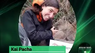 Kai Pacha   D&iacute;a Internacional del Puma