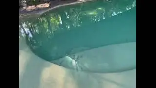 Large Rains Cause Brown Pool #satisfying #poolguy #freshwater