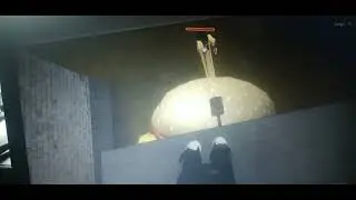 nico's bugbots