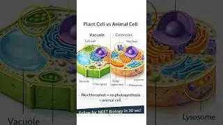 Animal Cell vs Plant Cell: Key Differences #neet #cbse