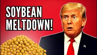 How China Just Wiped Out America&rsquo;s Exports | The Soybean Meltdown