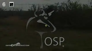 How to Shoot Left-to-Right Quail - OSP Kill Shot Review