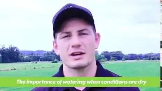 Importance of Regular Watering
