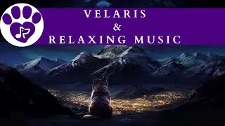 Velaris-Inspired 8-Hour Calm Music Experience for Pets 🌠 Relaxing Pet Music for Separation Anxiety