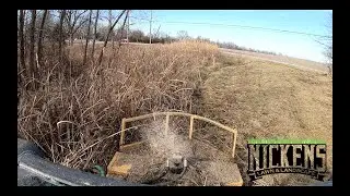 MOWING Small TREES with the Diamond Brush Mower