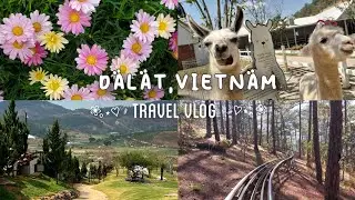 Mini vlog to Da Lat Vietnam | Travel Vlog | short vlog