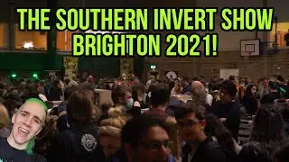 The Southern Invert Show 2021 - Brighton!