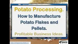 Potato Processing | How to Manufacture Potato Flakes and Pellets | Profitable Business Ideas.