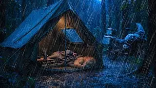 🔴 Tent in Heavy Rain and Strong Thunder Sounds for Sleeping | Deep White Noise for Sleeping