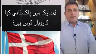 What business Pakistanis do in Denmark?