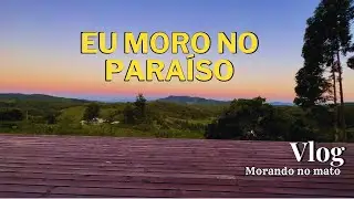 Rob&ocirc; limpa vidro. Essa vista da minha casa &eacute; surreal. Aproveitei muito o sol.