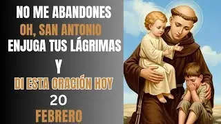 🙏 ORACIÓN ESPECIAL A SAN ANTONIO DE PADUA – NO ME DESAMPARES