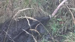 Moorheilbad Lobenstein, was wird aus dem gebrauchten Moor?