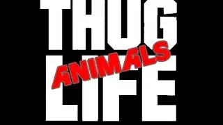 THUG LIFE ANIMALS COMPILATION FEBRUARY 2015
