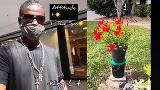 Sun Number 1, Birth Number 8 &  Listen To Your Life Path# Also. I👁️ Got You.