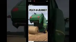 Поросенок и одеяло