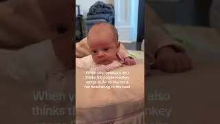 This Purple Monkey song will be forever in my head! #purplemonkey #baby #babysister #fisherprice