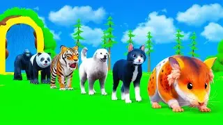 Paint & Animals Rat Cat Rabbit Dog Pig Tiger Panda Fountain Crossing Transformation Animal Cartoon