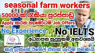 ගොවිපොළ රැකියා අවස්ථා/Agriculture, Horticulture - Seasonal form worker jobs 2023/Career Couch