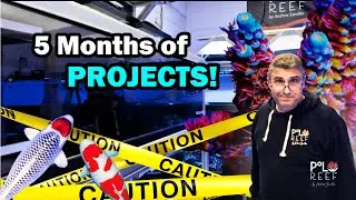 Reefs, Corals, $$$ Koi and more! Epic Summer recap