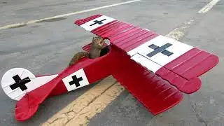 Squirrel Steals Warplane
