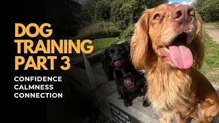 Saturday on-lead neutral dog training in Stratford upon Avon Part 3