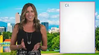 Denver Real Estate Market Update July 2023 by Carrie Terrones, Denver Metro Realtor