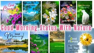✨Good Morning🌸Good Morning Status, Wishes with Nature,Flower,Images & morning routine✨motivation,