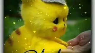 Cute Pikachu WhatsApp status.