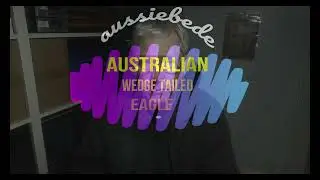 A Collection of Videos on the Perth mint.  By  aussiebede